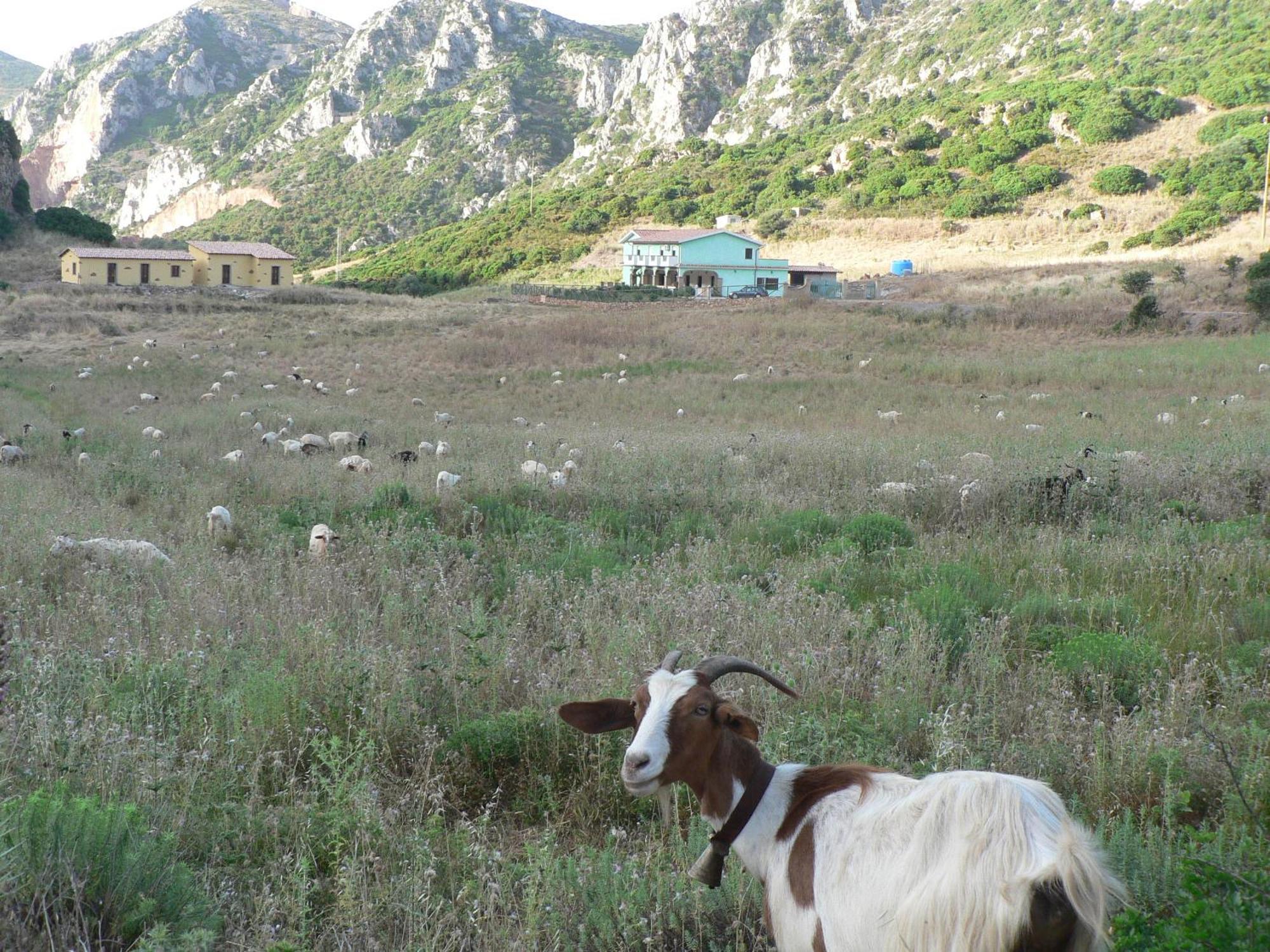 Vakantieboerderij Sa Rocca Iglesias