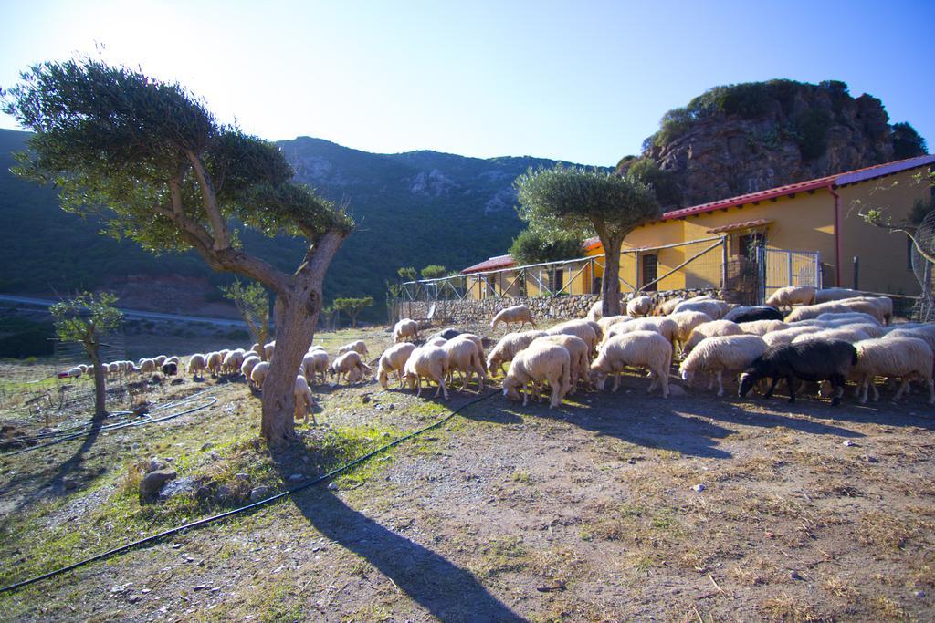 Sa Rocca